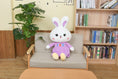 Load image into Gallery viewer, BunnyBoo™ Plushie