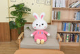 Load image into Gallery viewer, BunnyBoo™ Plushie