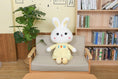 Load image into Gallery viewer, BunnyBoo™ Plushie