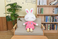 Load image into Gallery viewer, BunnyBoo™ Plushie