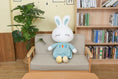 Load image into Gallery viewer, BunnyBoo™ Plushie