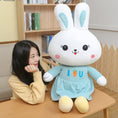 Load image into Gallery viewer, BunnyBoo™ Plushie