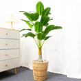 Load image into Gallery viewer, Tropical Oasis Decor (Banana Tree)
