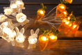 Load image into Gallery viewer, Easter Wonderland Carrot & Rabbit Lights™