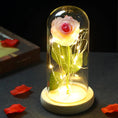 Load image into Gallery viewer, Enchanted Rose Lamp - Beauty and the Beast Inspired LED Light for Mother's Day