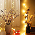 Load image into Gallery viewer, Enchanted Willow Lights
