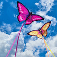 Load image into Gallery viewer, FlutterFly Kites™
