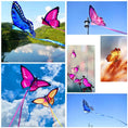 Load image into Gallery viewer, FlutterFly Kites™
